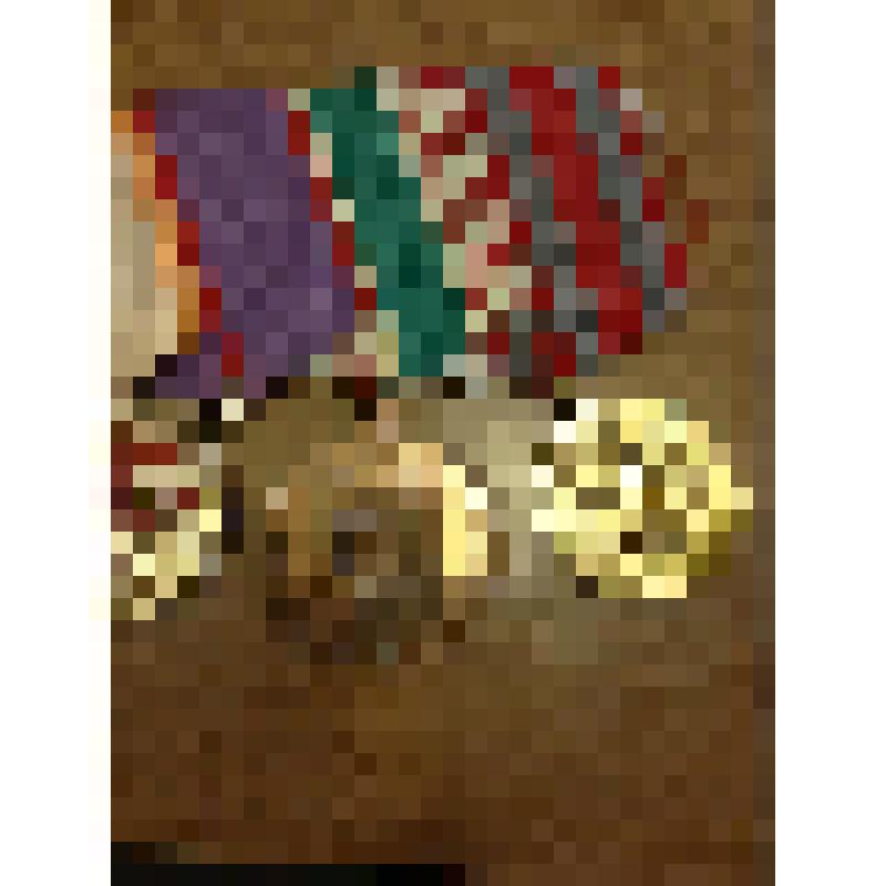 Медаль «В память 800-летия Москвы»

архив О.В.Лепешинской