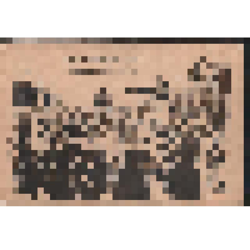 "Государственная Дума (по проекту Булыгина)"