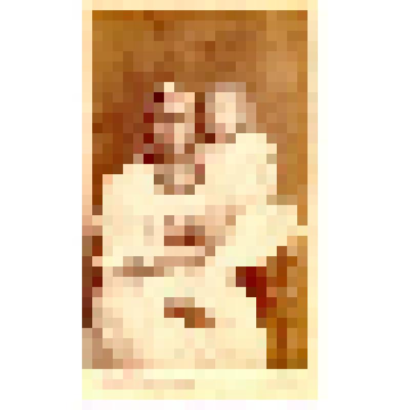 Фотография. Няня с ребенком