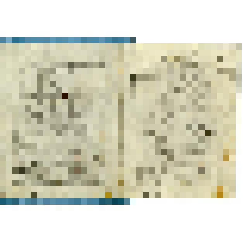 Иконный образец. Богоматерь Ченстоховская