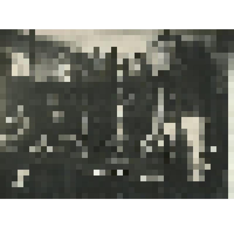 Фотография ч/б