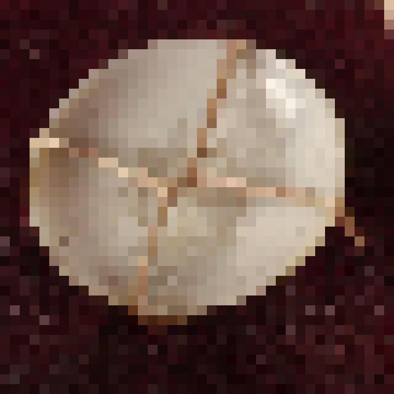 Коробка с костяными бирюльками: тарелка суповая