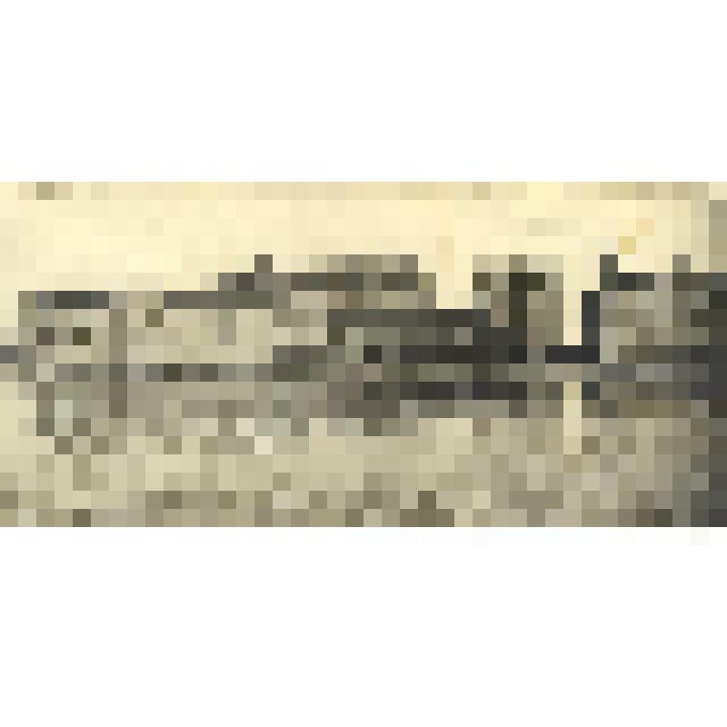 Фотография. «Мельница Пережогина, купца-мукомола г. Сызрани»