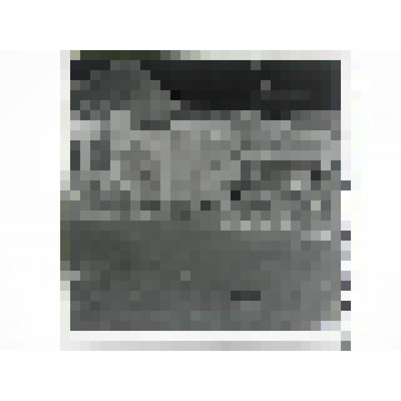 Дом Есенкова. нач.ХХ в. Челябинская  обл., Кусинский р-н, д. Аршинка. Дом Есенкова, нач.ХХ в. Ворота. Лицевой фасад