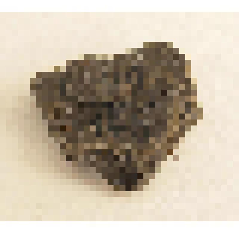 Фрагмент керамики