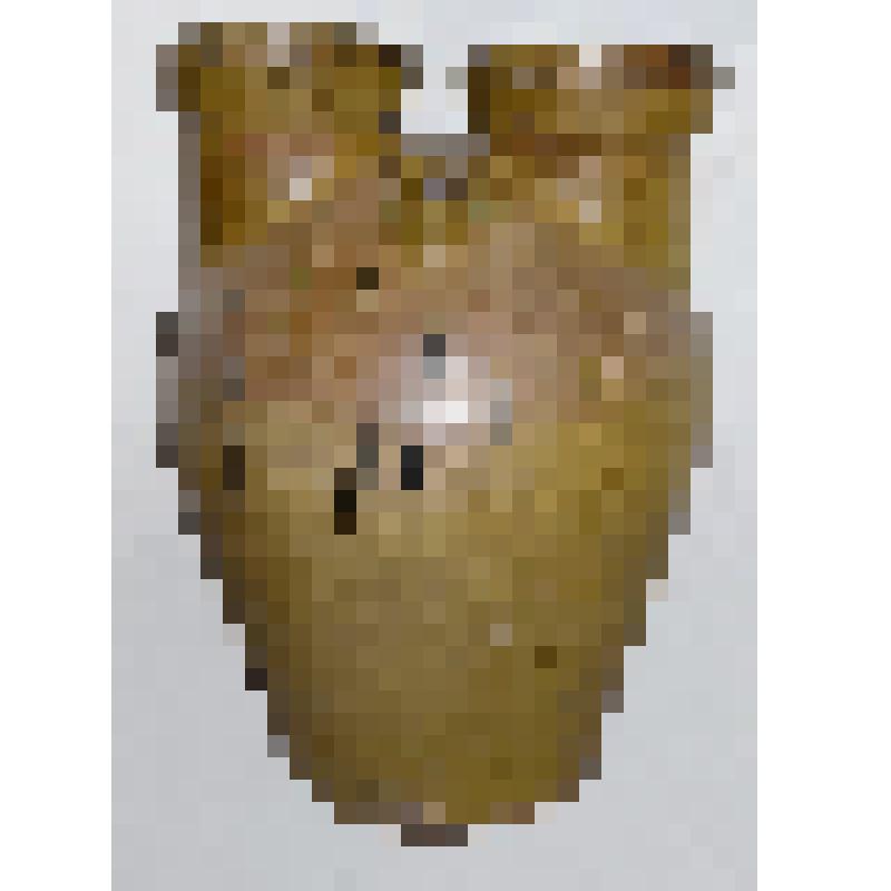 Сосуд технологический