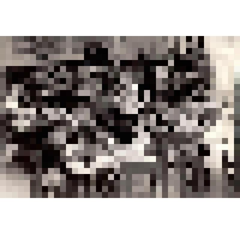 Фотография. Занятие в средней группе детского сада