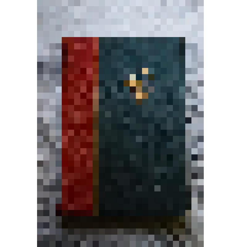 Книга. Большая советская энциклопедия. Том XLI. Наган - Нидерландское искусство. Москва. 16-я типография треста "Полиграфкнига". Издательство государственного института "Советская энциклопедия". 1939 г