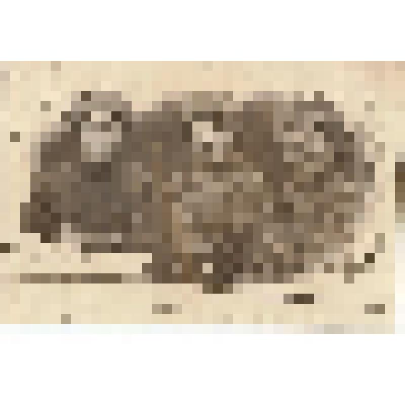 Ф/чб. Бойцы 507-го стрелкового полка 148-й стрелковой дивизии. В центре - комиссар полковник Матвеев Степан Никитович. Елец. 12.11.1941