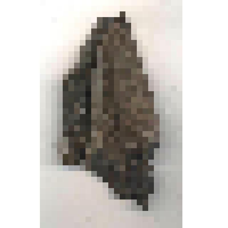 Обувь кожаная (фрагмент)