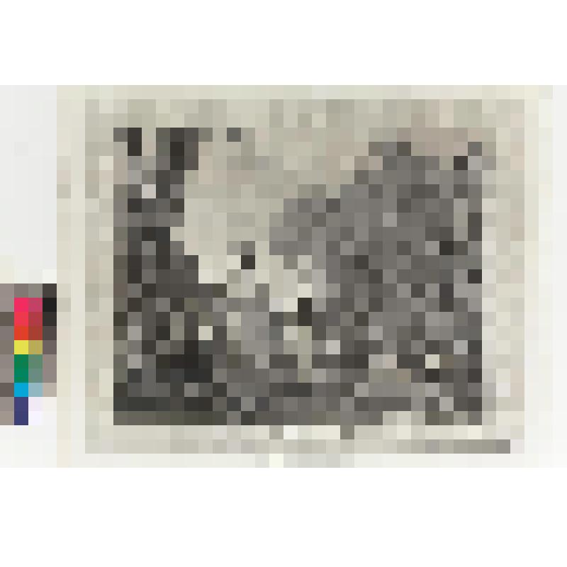 Гравюра. Приятный концерт