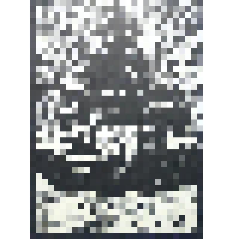 "Нелазская церковь 1694 г." Гравюра