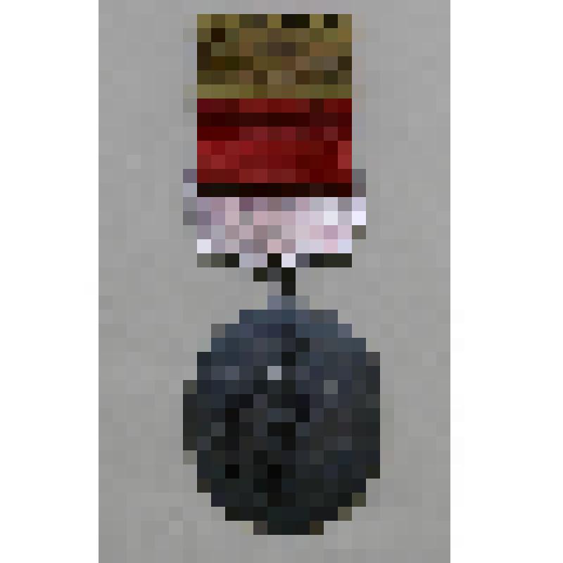 Нагрудный значок "Отличник печати". Принадлежал Ажгибкову А.В