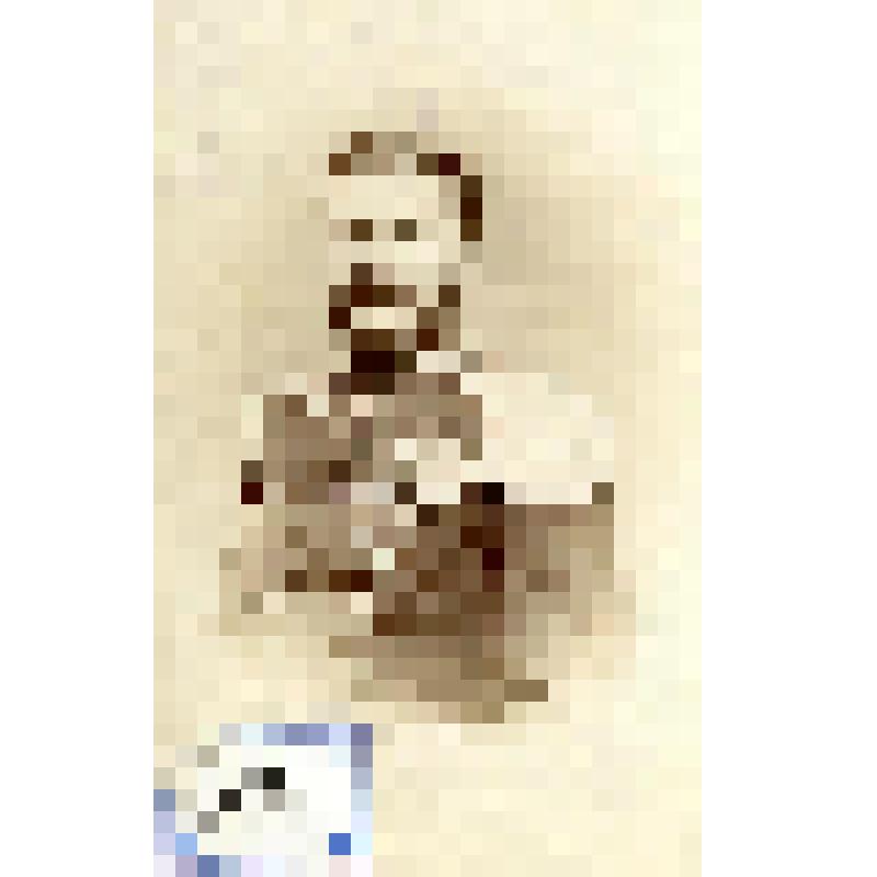 Фотография черно-белая. Скородумов Никандр Иванович