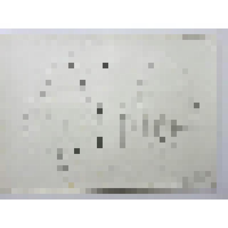 Троицкая церковь. Ново-Голутвин монастырь. ХVII-ХIХвв. 1705г. г.Коломна. Ново-Голутвин монастырь. Церковь Троицы. Поперечный разрез, виды на восток и на запад. Обмер