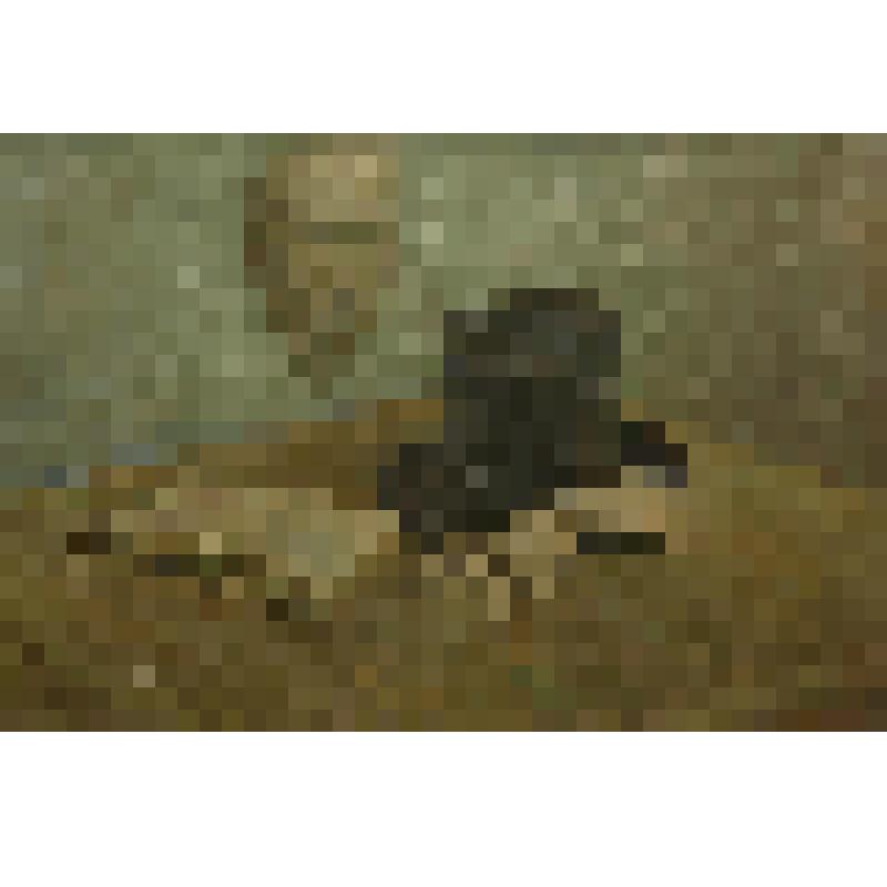 Натюрморт "Посмертная маска А.С.Пушкина"