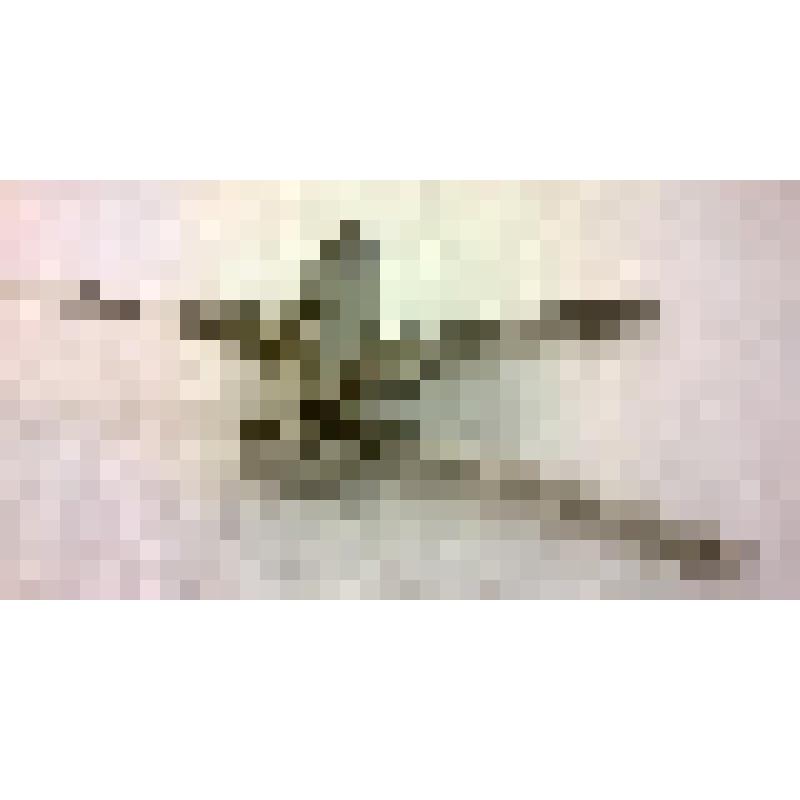 Вещь. Модель пушки из нержавеющей стали. Токарная работа П.П. Киреева