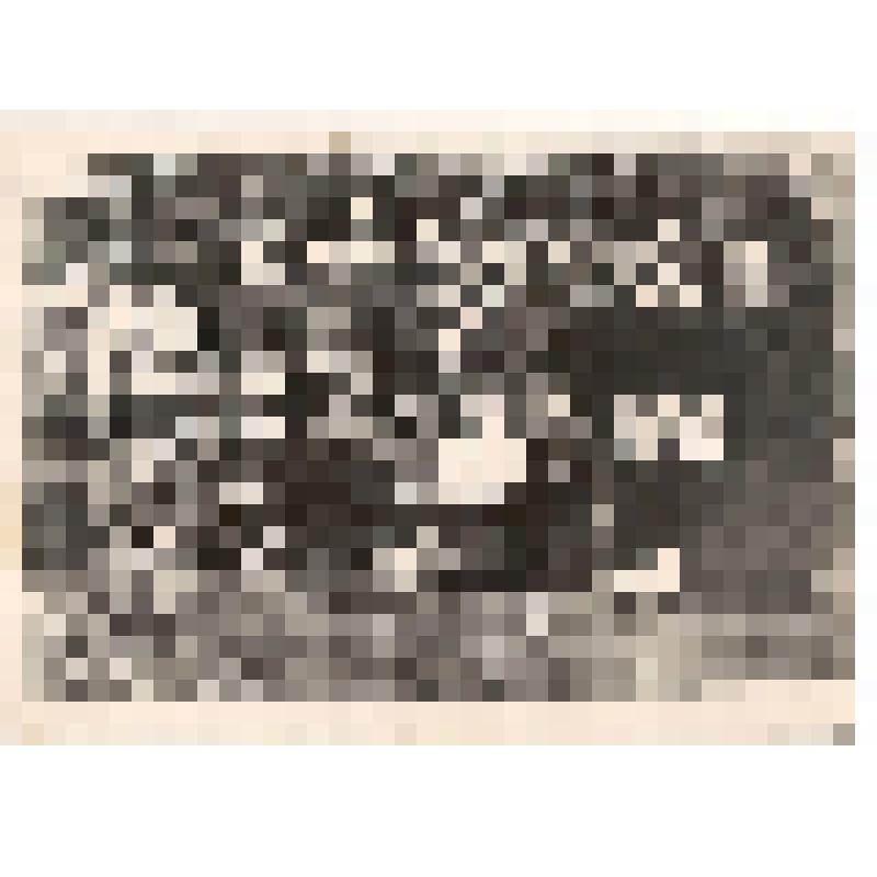 Фотография. Коллектив СШ № 1