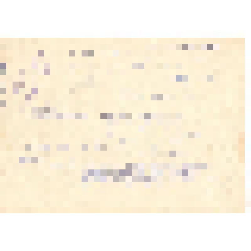 Фотография. Коллектив СШ № 1