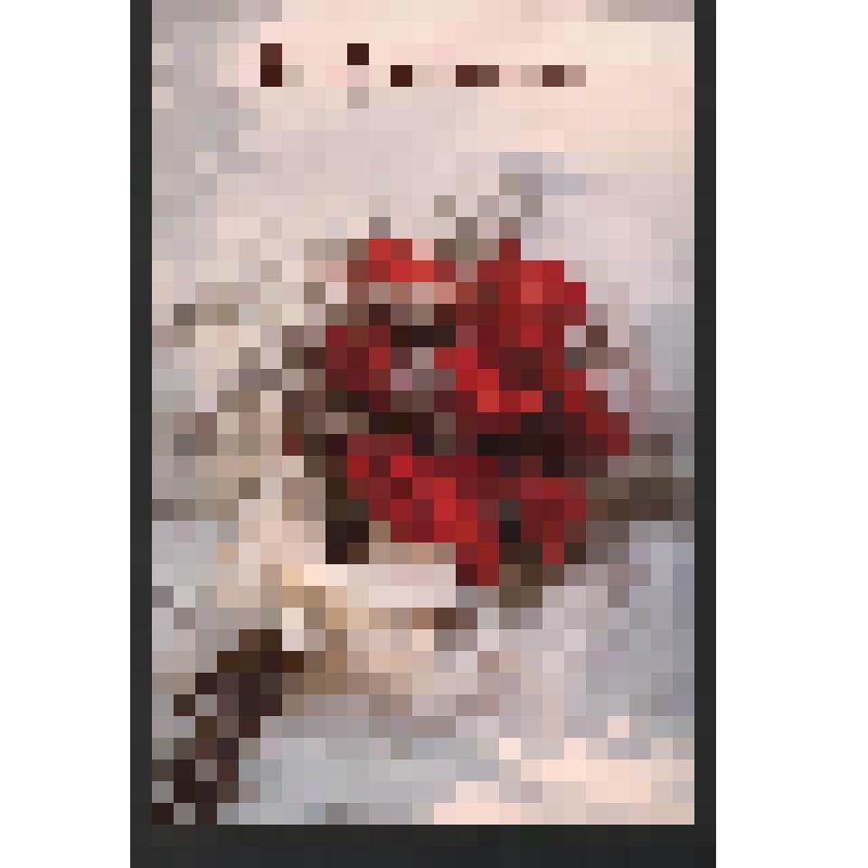 Поздравление Тороповой Р. Богомоловой З. А. с Днём рождения