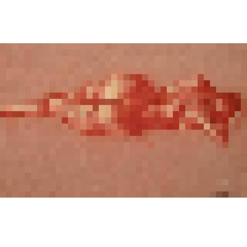 Alona - Помпея