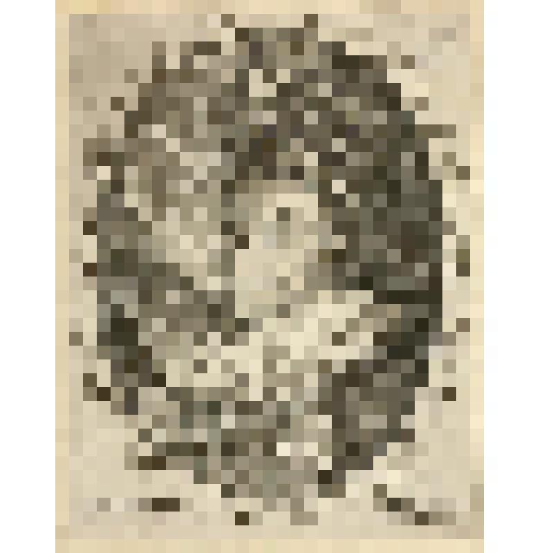 Сигизмунд III (1566-1632) — король польский и великий князь литовский, фонд западноевропейского  гравированного портрета