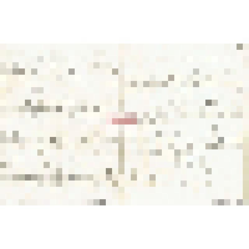 Письмо Ф. Лоренца Мартьянову с сообщением о готовности выслать в Минусинский музей чучела животных и птиц в обмен на рога, просьбой прислать уларов, но при этом хорошо обработать шкурки солью