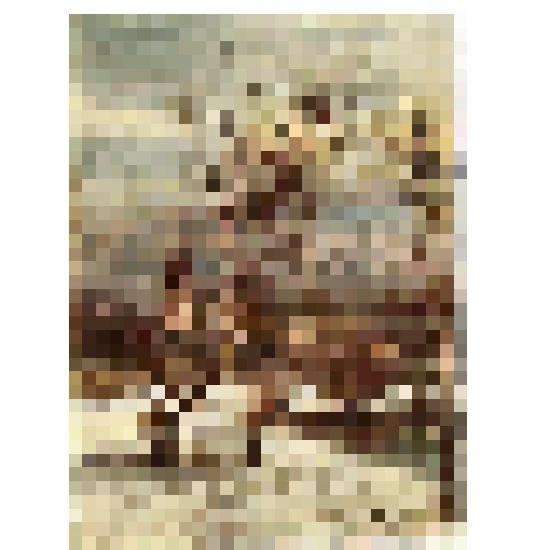 Почтовая  карточка