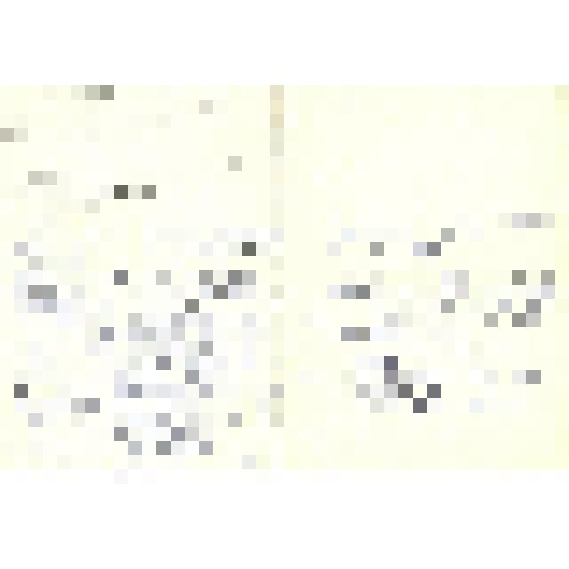 Обращение, В Сахалинскую областную организацию Красный Крест, Для оказания помощи в поиске родственников в Республике Корея, 16.04.1992 г