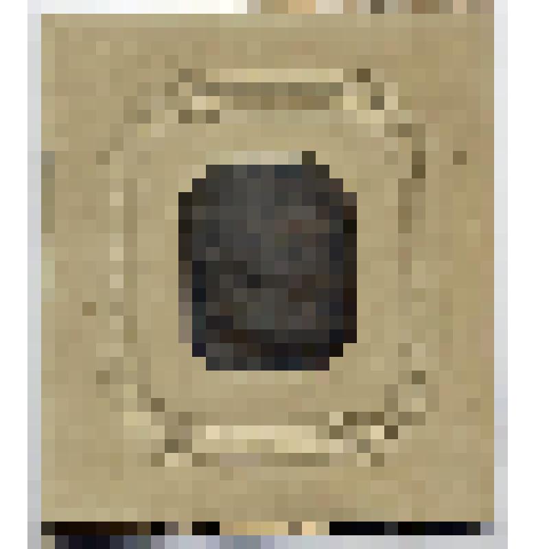 Дагеротип. Т.А.Стуколкин и Н.И.Иванов, брат балетмейстера Л.И.Иванова