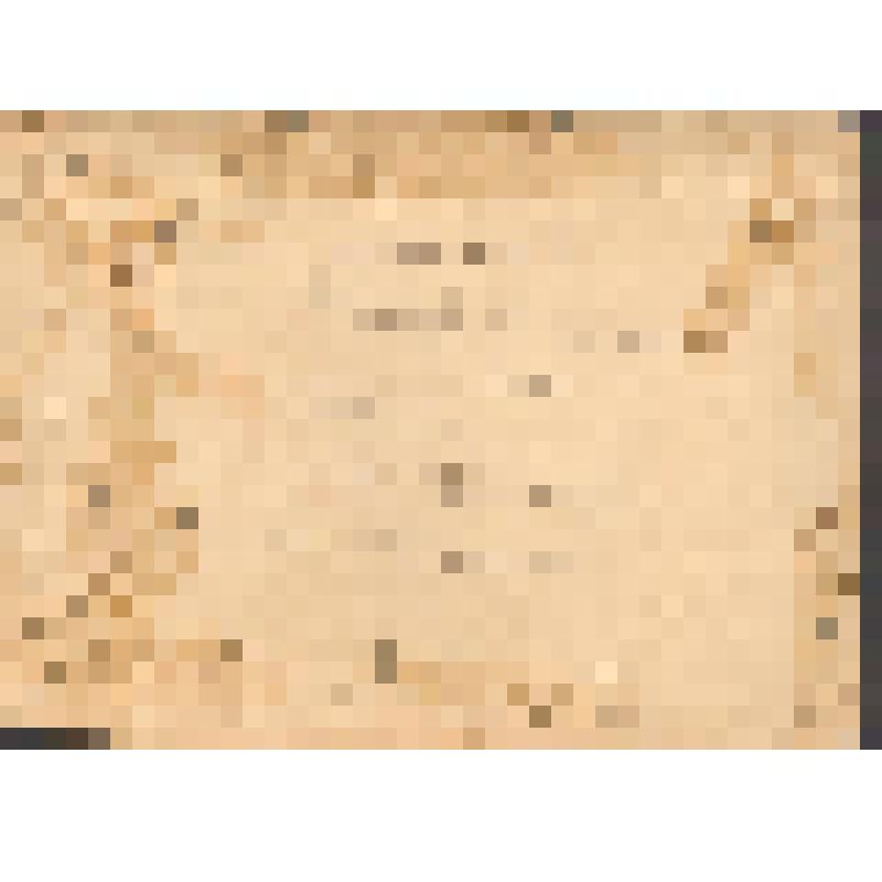 Фотография. Аппарат РК ВКПб г. Луги, 1933 г. (Группа.)