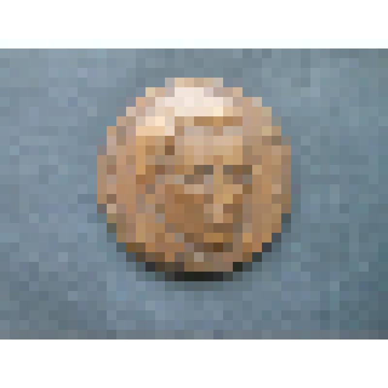 Медаль. А.Н.Воронихин