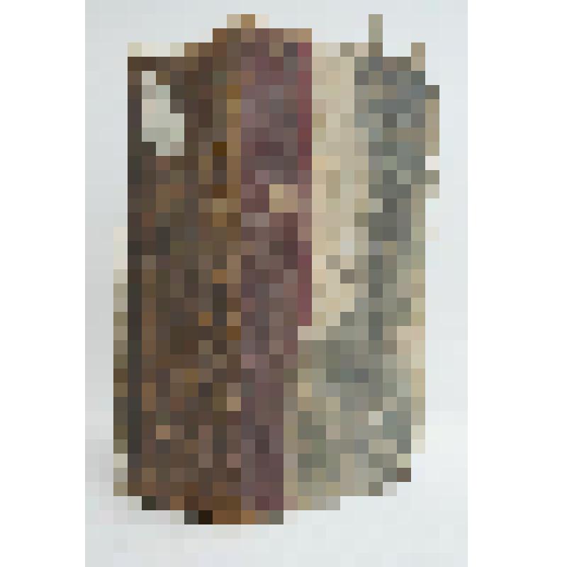 Книга. Еврей. Картина германских нравов в первой половине XV столетия. Т.I и II. СПб., тип. III Отд. Собственной Е.И.В. Канцелярии, 1834