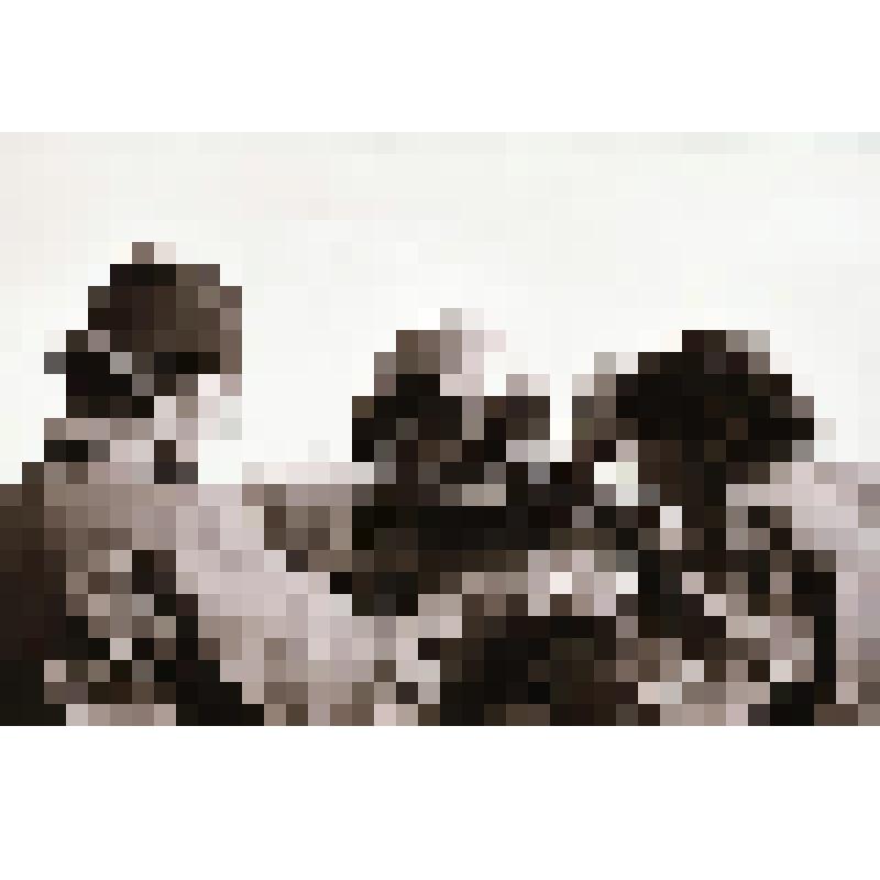 Фотонегатив  сюжетный. На строительстве газопровода "Оха-Комсомольск-на-Амуре"