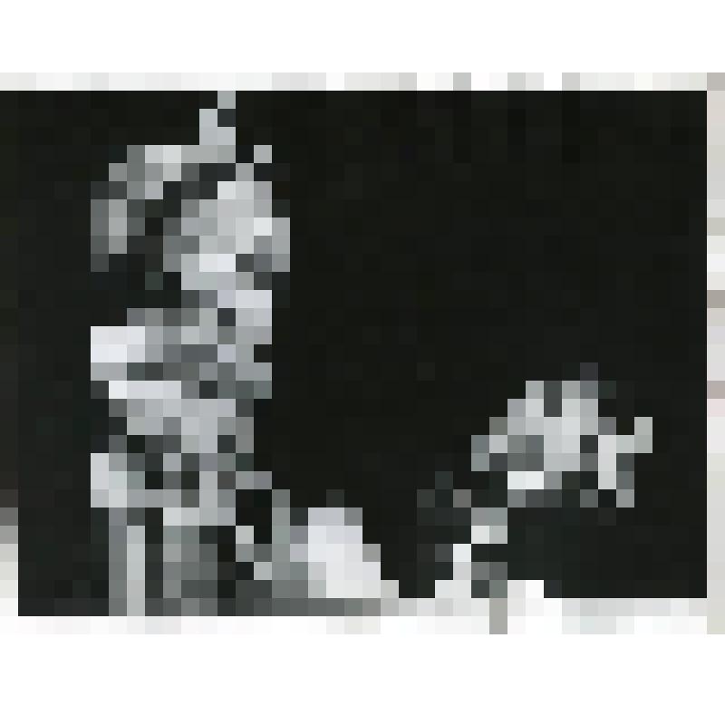 Фотография. Кукла- Тигрик Петрик. Кукла- Тигрица-мама. "Тигренок Петрик" (Постановка  Лукониос Б. Художник Мазурас В.). Литва, Литовский кукольный театр