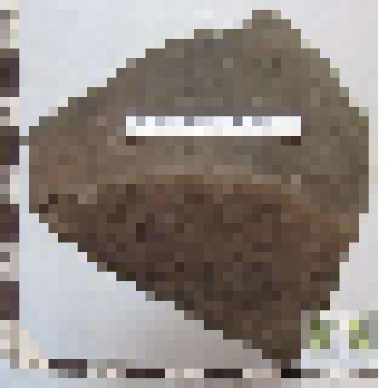 Дна крансожгущегося сосуда фрагмент