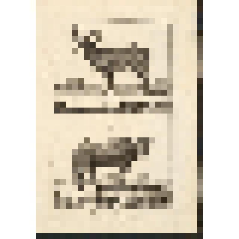 "Histoire Naturelle. Pl. X. Fig. 1. Le Buffle. Fig. 2. Le Mufflon. Antonio Baratti sc. Гравюра