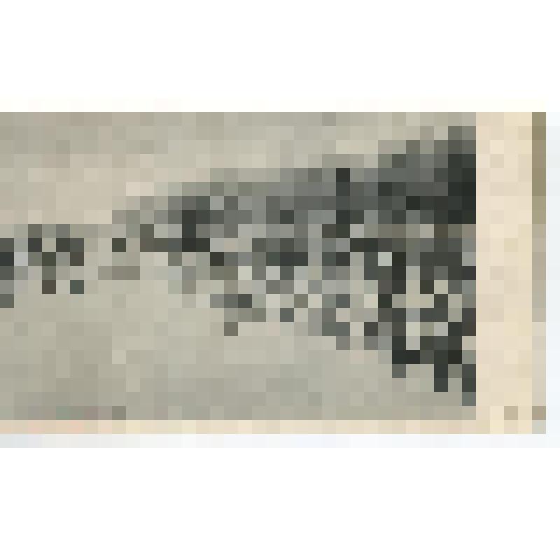 Открытка.«В Заволжских лесах». Устье реки Керженец