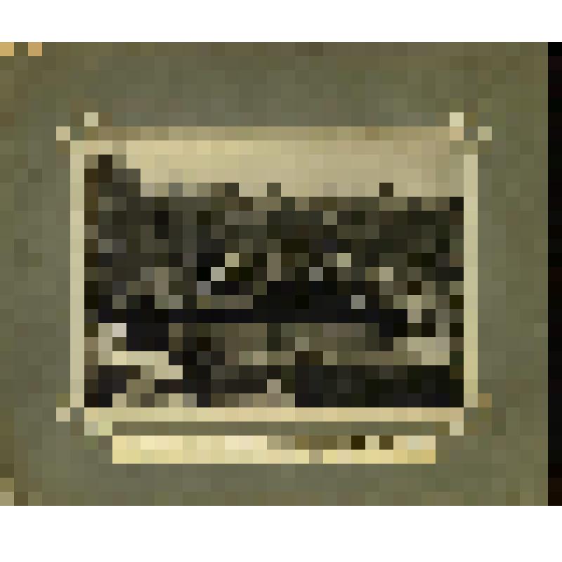 Фотография. Молебствие на месте закладки больницы, сооружаемой в г. Зарайске на средства А.А. Бахрушина