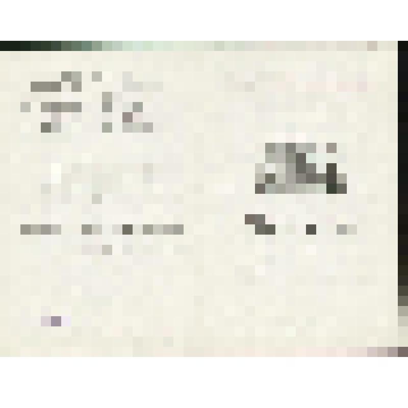 Программа. "Медный всадник" (Дирижер - Файер Ю.Ф. Постановка - Захаров Р.В. Художник - Бобышов М.П.). Москва, Государственный академический Большой театр СССР