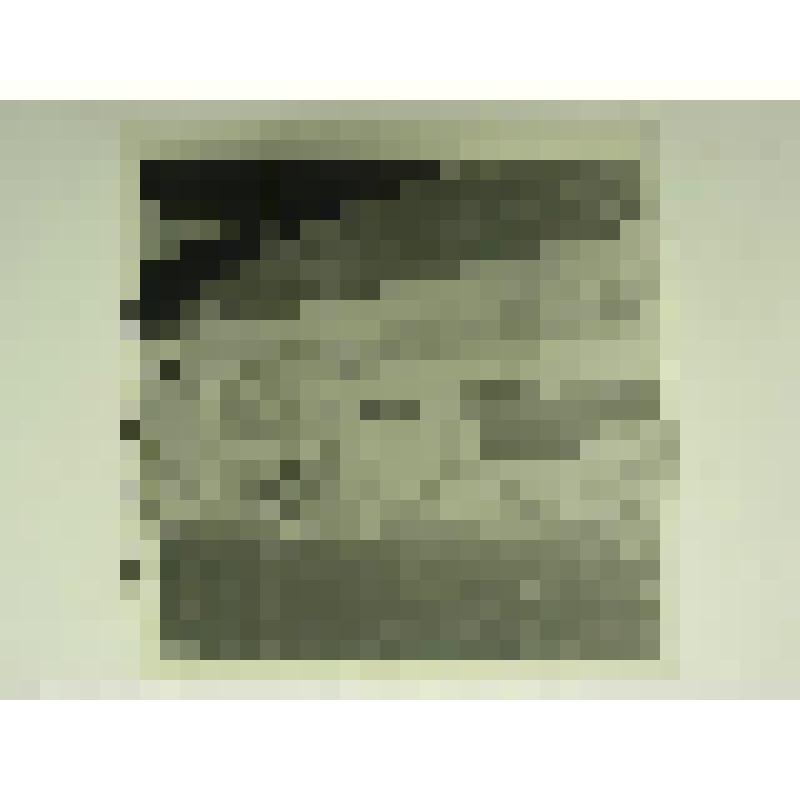 Дом А.П.Мартынова. Ул. П.Морозова, 10-12. втор.пол. XIX в. Челябинская  обл., г. Карабаш, пос. Южный (с.Саймоновское). Дом А.П.Мартынова. Ул. П.Морозова, 10-12, втор.пол. XIX в. Амбар с навесом по южной границе двора. Вид со сдвора