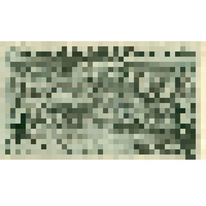 Бумажный денежный знак 10 геллеров 1920 года, Бошлар