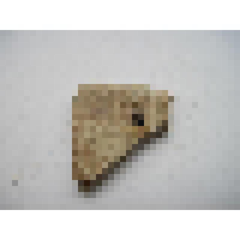 Крышка сосуда (фрагмент)