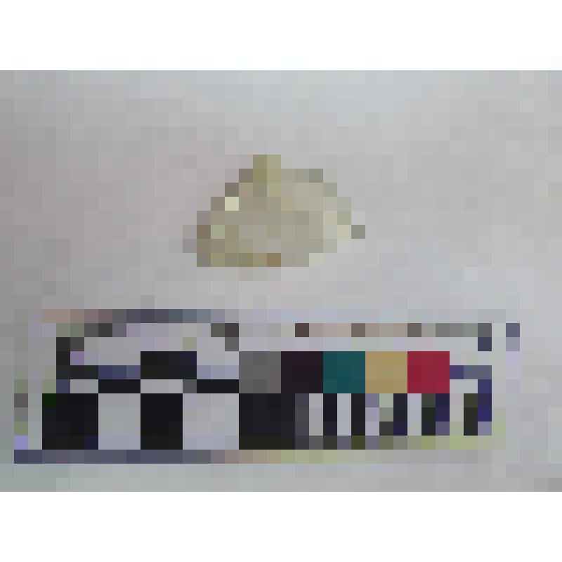 Фрагмент дна стеклянной фмалы