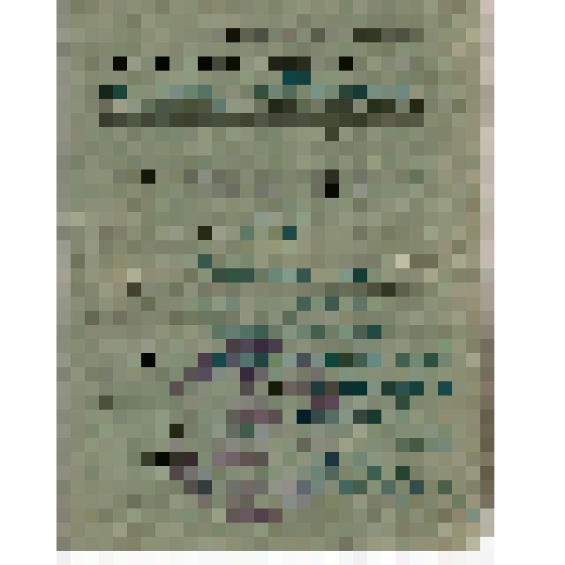 Членский билет N380 Страхова В.И., члена рабочего клуба им. Ильича