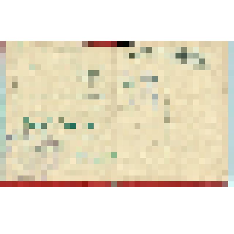 Билет N29-17 Давыдова Н.М