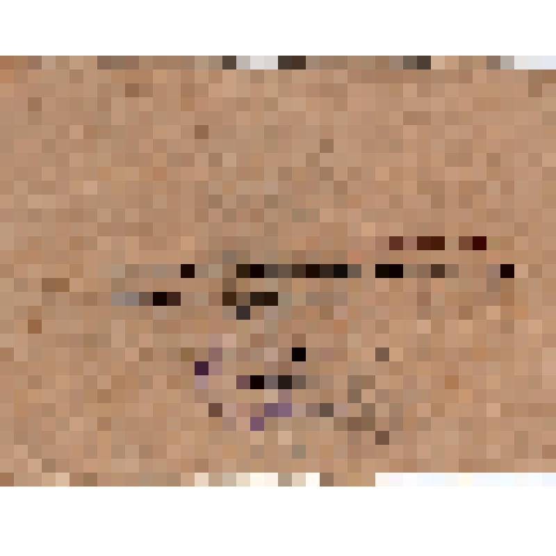 Мандат т. Иванова И.С. - делегата 1 обл. слета шеф. бригад и соц. совместителей