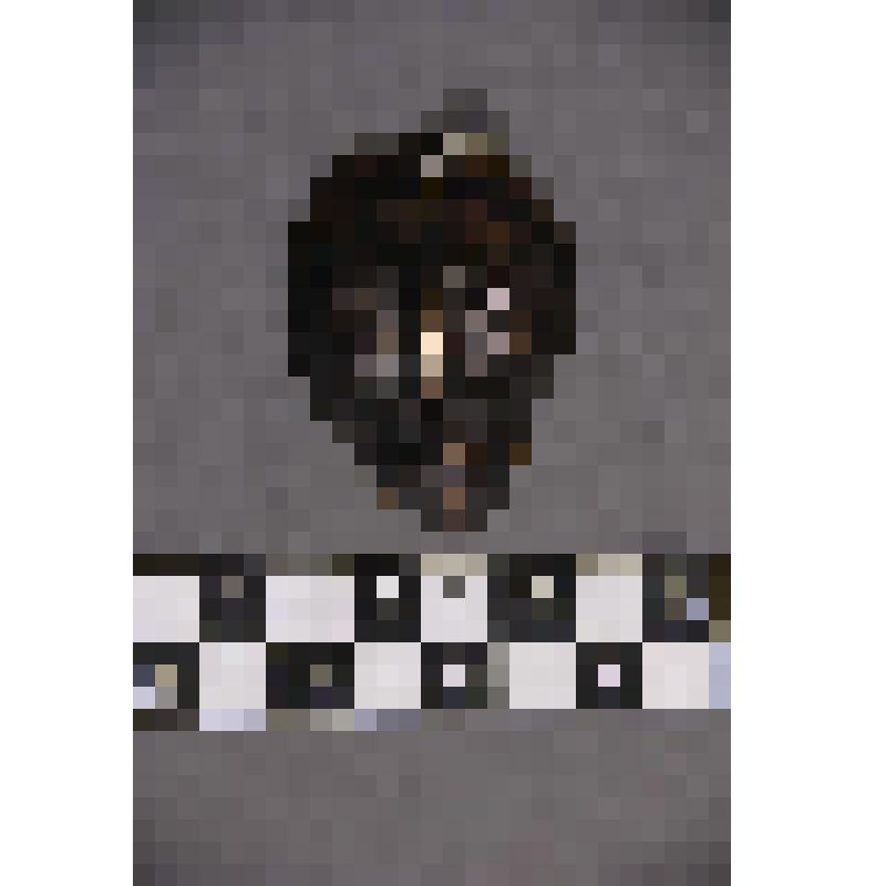 коллекция В.Ф. Лагодича. Талисман на металлической пластине в виде лица человека. Кольцо для крепления в центре лба