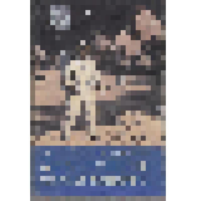 Книга. Уманский С.П.
Снаряжение летчика и космонавта