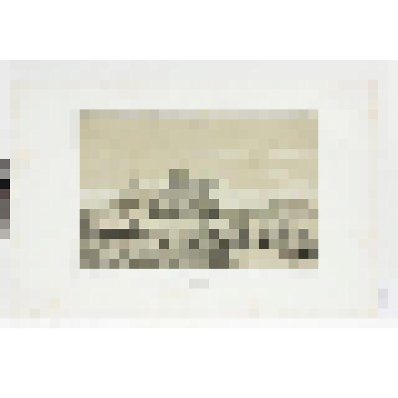 Литография. "Владимирская губерния. Никольское. Приход между городами Судогда и Муромом."